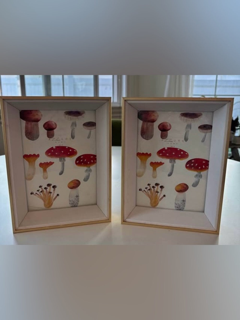 New - Set of Two Gold 5 x 7 Azzure Home Picture Frames